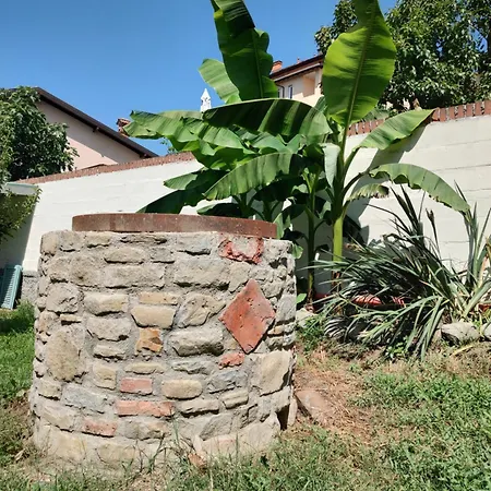 Il Giardino Di Claudia Cardamomo * Ovada