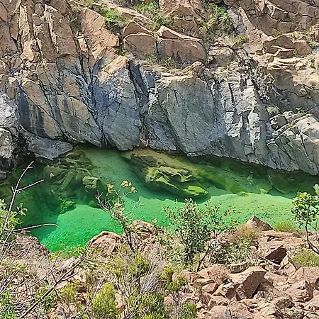 アパート Il Giardino Di Claudia Cardamomo *