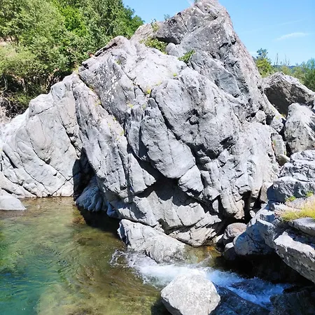 Il Giardino Di Claudia Cardamomo オヴァーダ