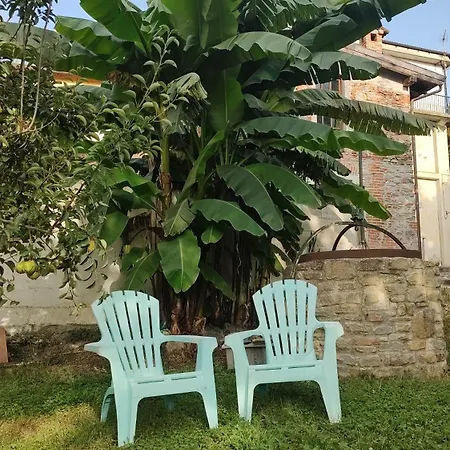 Il Giardino Di Claudia Cardamomo