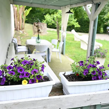Il Giardino Di Claudia Cardamomo *