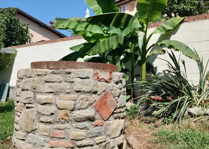 Il Giardino Di Claudia Cardamomo * Ovada