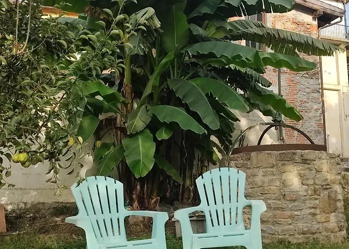 Il Giardino Di Claudia Cardamomo