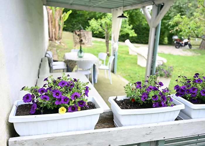 Il Giardino Di Claudia Cardamomo *